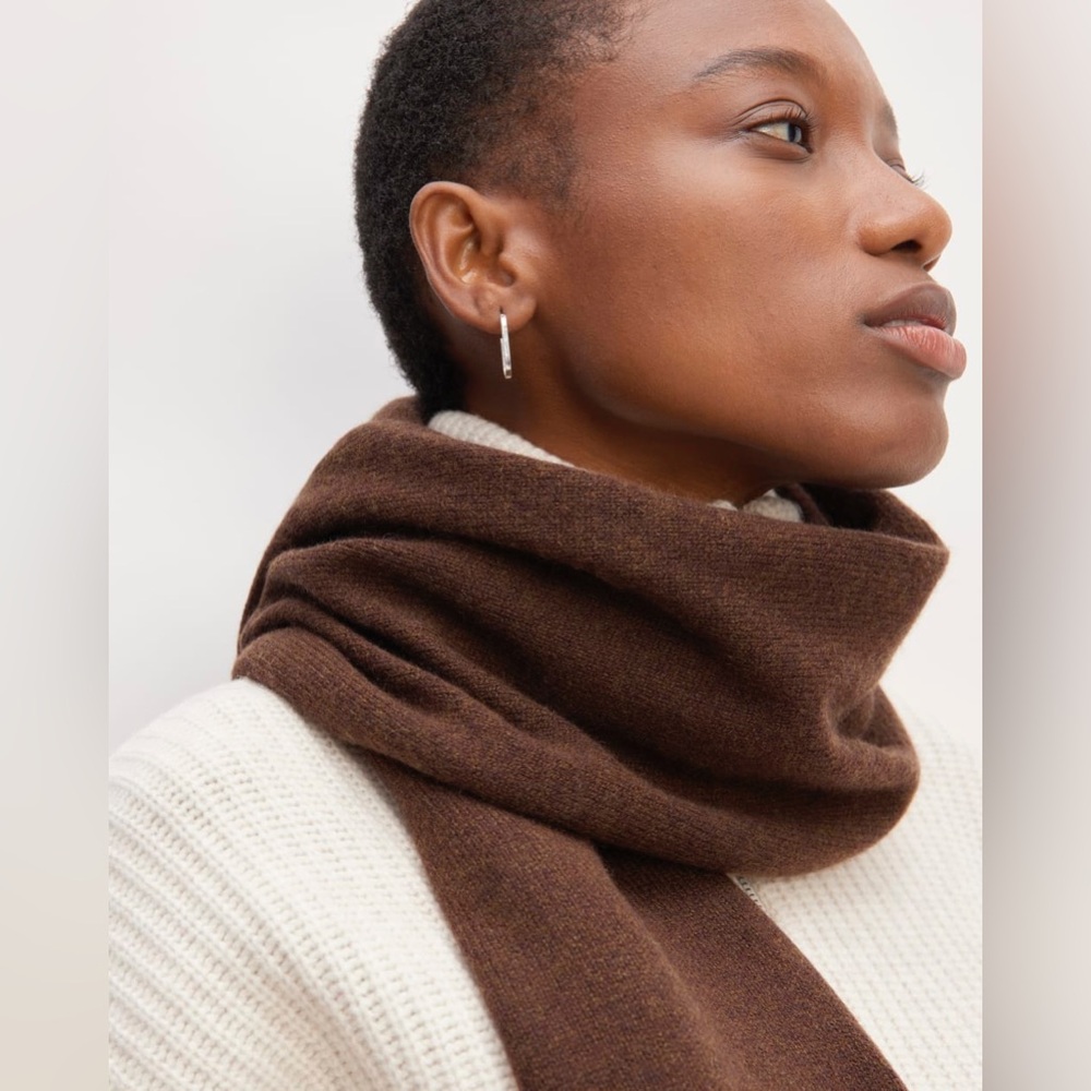 NWT Everlane Cashmere Chocolate Brown Scarf